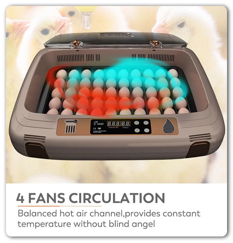 Factory Supply New Design 50 Egg Incubator Machine with 4 Fans for Online Sale