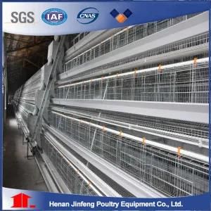 Jinfeng Hot Sale a Type Poultry Equipment for Big Farm