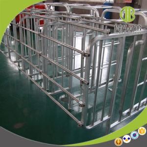 Hot Sell Hot-DIP Galvanized Pig Gestation Stall Fattening Stall