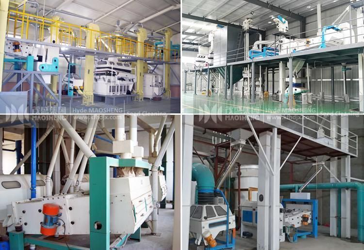 Rice Grain Bean Screening Pre Cleaning Cleaner Machine Sesame Cleaning Plant