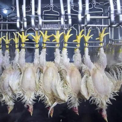Chicken Slaughtering Automatic Unloading Machine Feet Unloader Hook Detacher Poultry Slaughterhouse Equipment