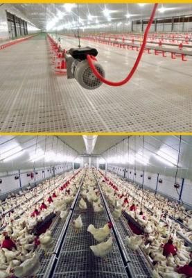 Floor Management Poultry Pan Feeder for Chicken Automatic Feeding System