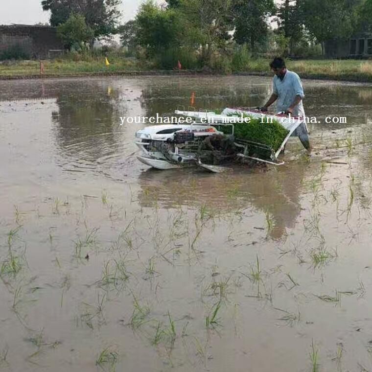 High Quality 2zx-430 4 Rows 300mm Rows Width Walking Type Rice Transplanter for Sale