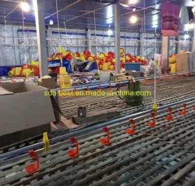 Pan Feeding System Broiler Flooring Feeding Hot Sale Chicken Poultry Farm Equipment