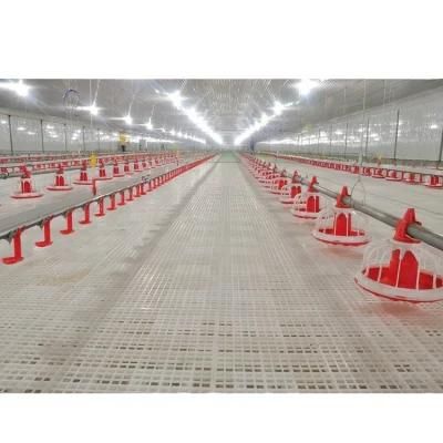 Automatic Poultry Farm Equipment for Chicken House