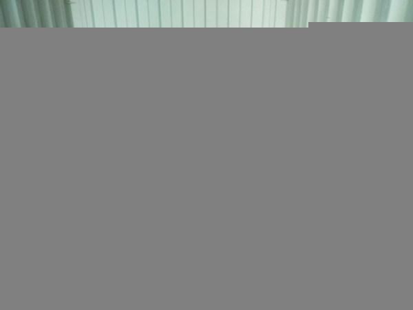 Pig Weaning Stall Nursery Pen for Piglet