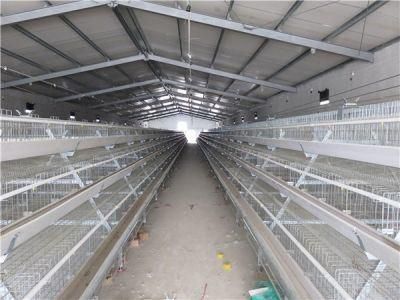 Automatic Poultry Equipment Layer Chicken Cage
