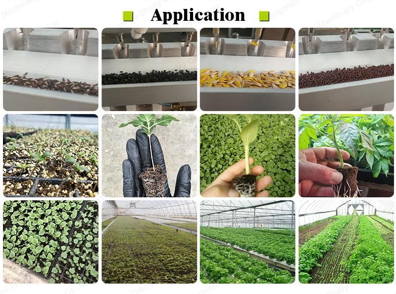 automatic vegetable flower seed seeding tray nursery tray planting machine in trays