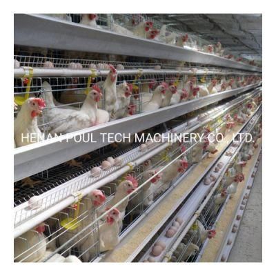 Farming Chicken Breeding Cage a Type 4 / 5 Layer Egg Chicken Battery Cages Chicken Cage for Sale