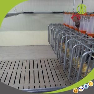 Pig Farm Equipment Supplier and Automatic Feeding System
