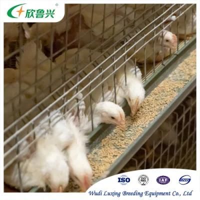 Three-Layer Automatic Brooding Cage Equipment for Poultry Farms