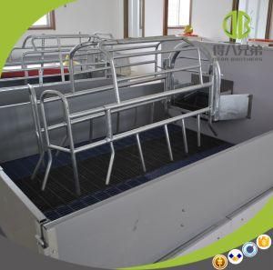 Made in China Farrowing Crate with Good Price and Good Quality