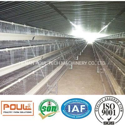 a Type Layer Cage Raising Equipment for 75000 Birds Layer Project