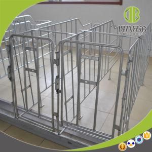 Pig Equipment Sow Limitation Stall for Livestock Galvanized Gestation Stall
