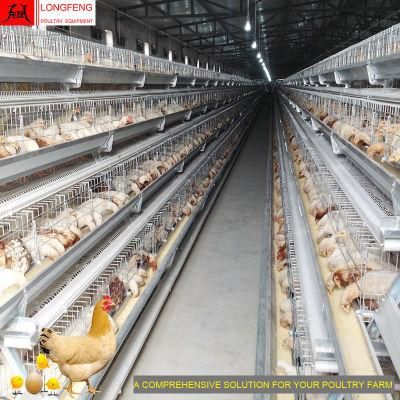 Local After-Sale Service in Asia Poultry Farm Layer Cages Battery Chicken Cage