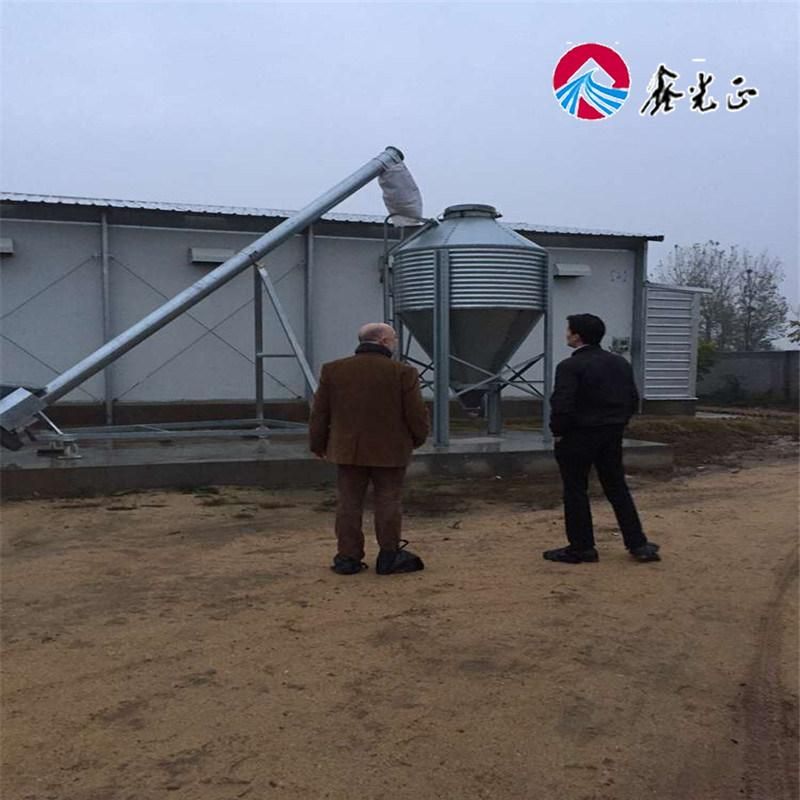 Best Design /Automatic Layer Poultry House Low Cost