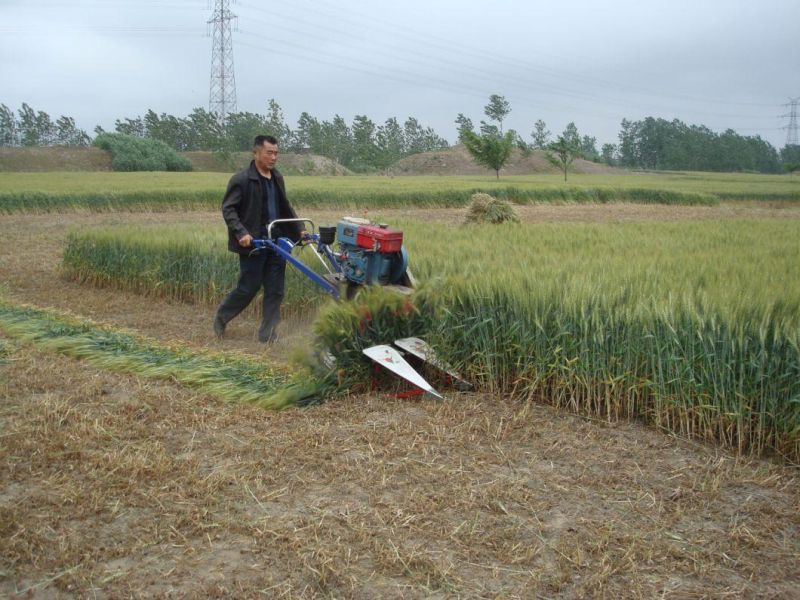 Rice Harvest /Mini Rice Harvest Machine/Reaper