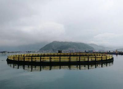 Round Floating Cage for Fish Farm Made of PE Pipe