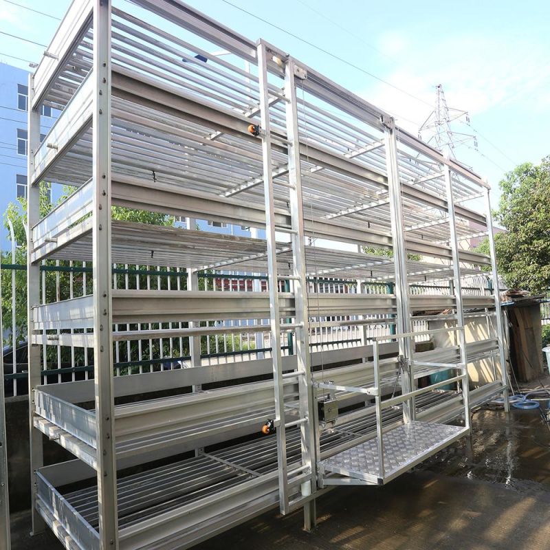 Champignon Mushroom Growing Aluminum Shelving