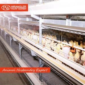 H Frame Feeding Cage for Broiler Chicken /Chicken Cage Broiler Equipment