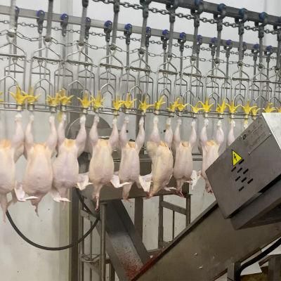 Broiler Chicken Slaughtering Production Line for Chicken Slaughter House Equipment for Sale