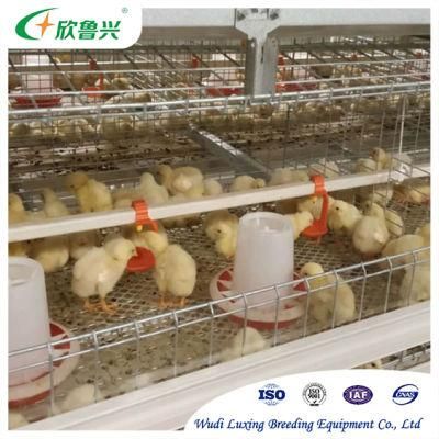 Automatic Poultry Farming System Chicken Broiler Farm Equipment