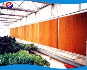 Hot Selling Evaporative Cooling Pad for Poultry House / Wet Curtain