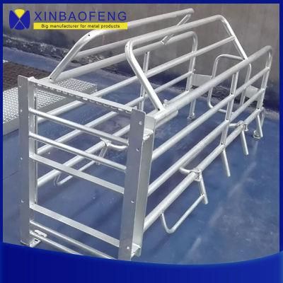 China-Made Farrowing Box Farrowing Box Pig Equipment Pig Farrowing Box Sow Farrowing Pen