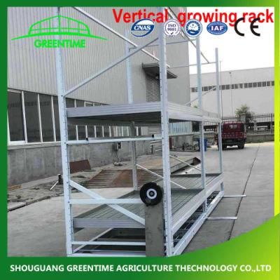 Agricultural Multi Tier Ebb Flow Trays Rolling Bench System Grow Rack for Greenhous