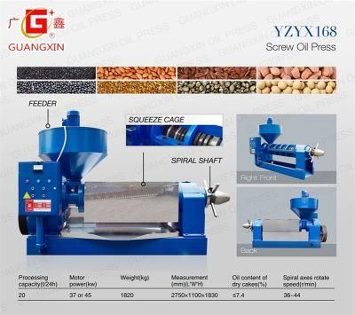 Yzyx168 Peanut Screw Oil Press Machine for Edible Oil Expeller