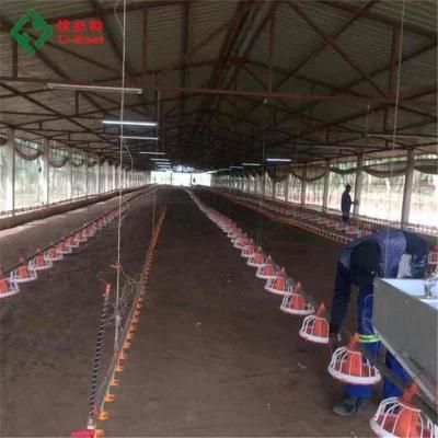 Modern Automatic Poultry Broiler Chicken Feeding Equipment System