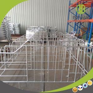 2017 Pig Farming Use Hot Galvanized Gestation Sow Stall
