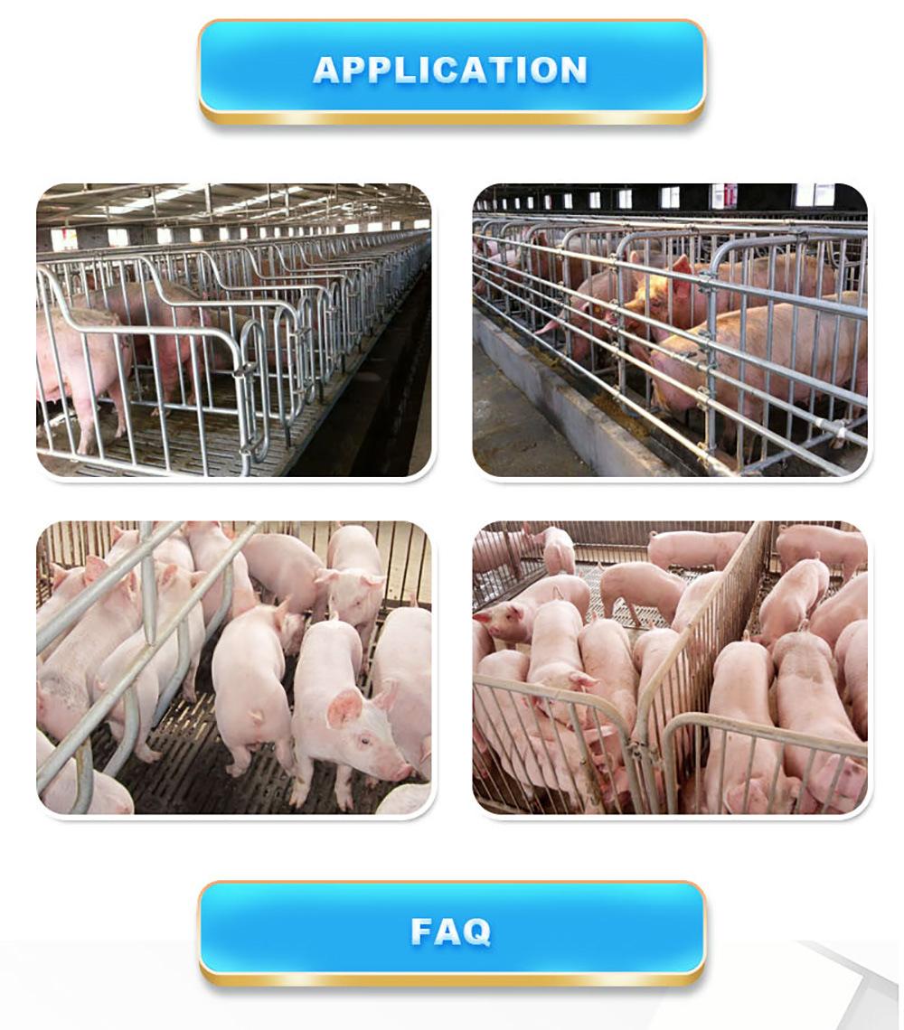 Pig Equipment Sow Limitation Stall for Livestock Galvanized Gestation Stalls