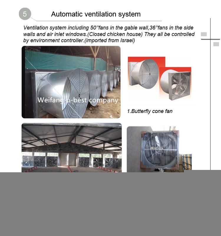 Fully Automatic Equipment for Poultry Farming Feeding Line System Broiler Chicken Products