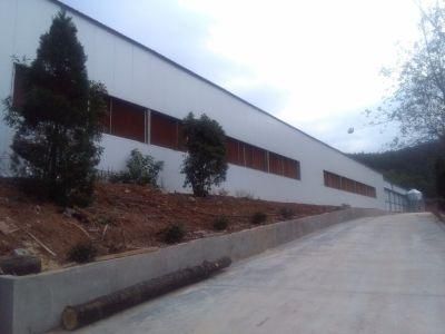 Double Layer Steel Structrue Chicken House