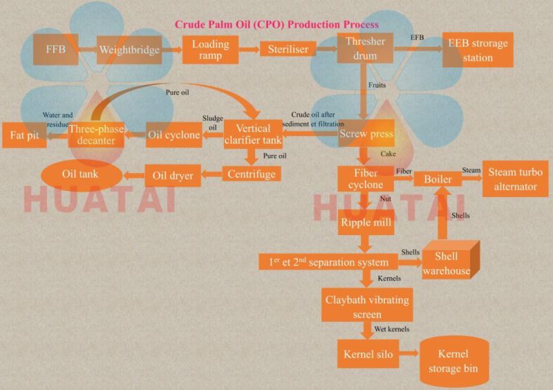 ISO Advanced Technology Palm Oil Production Line Palm Fruit Processing Machine