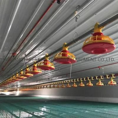CE Approved Automatic Chicken Feeding Equipment for Farming Poultry Broiler