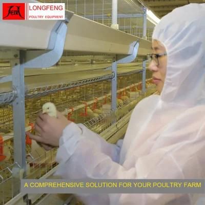 High Density Large Scale Poultry Farming Egg Incubator Broiler Chicken Cage