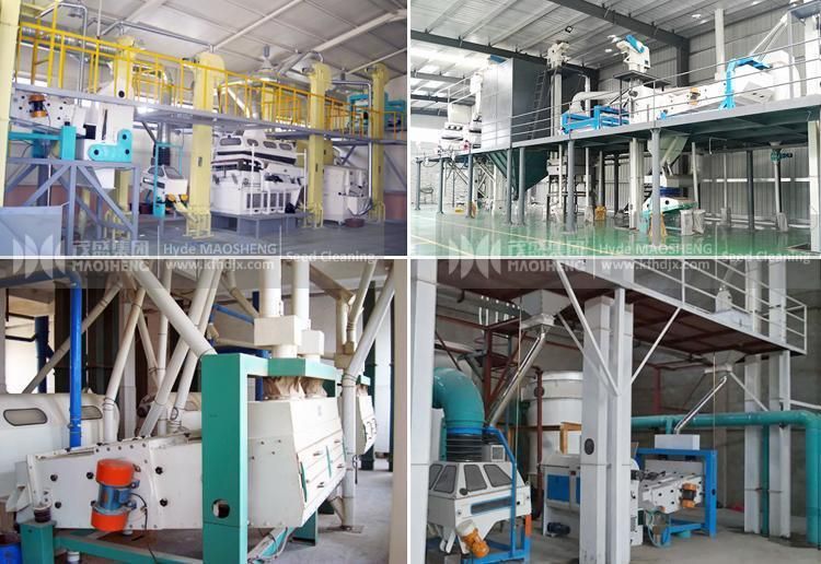 Wheat Straw Corn Cocoa Bean Cleaning Precleaner Machine