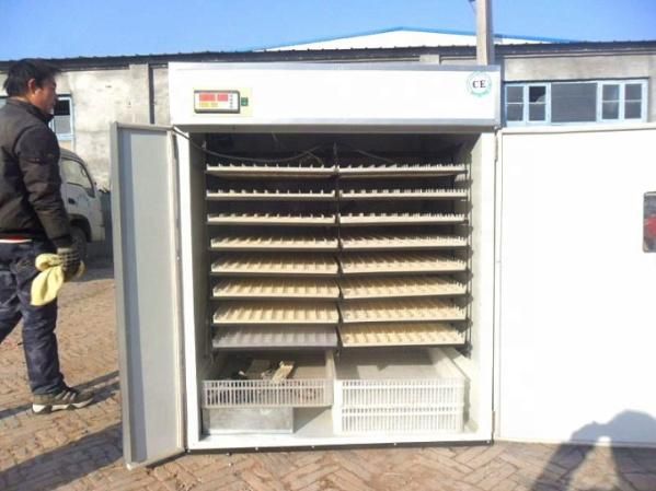 Hhd Holding 2376 Eggs Automatic Chicken Incubator Eggs