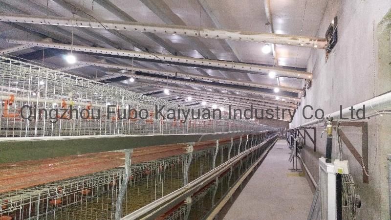 Automatic Battery Commercial Poultry Cage for Broiler/Layer/Egg Chicken