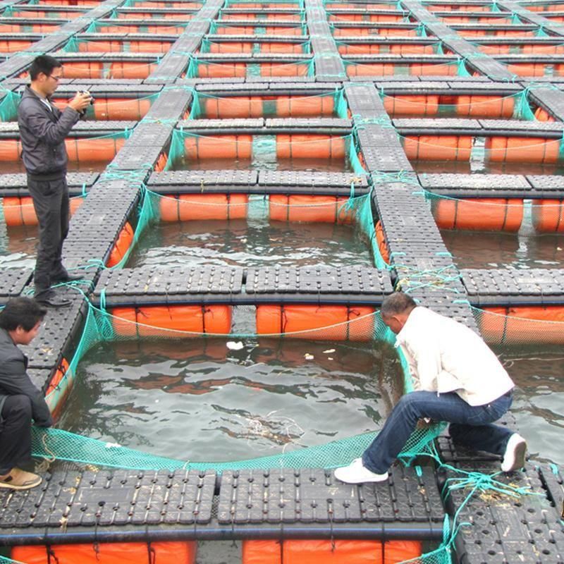 Square Floating Tilapia Catfish Farming Aquaculture Net Cage