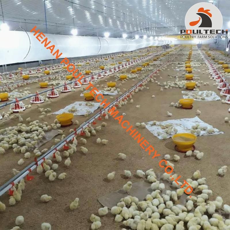 Haiti Broiler Chicken Deep Litter System