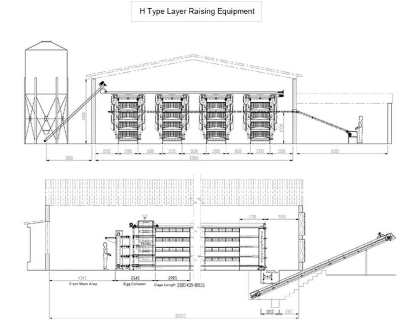 Chicken Broiler Poultry Shed Farm Equipment for Chicken Cages