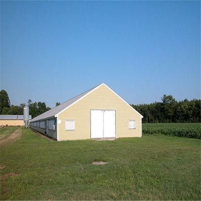 Easily Built and Feeding Comfortable Steel Structure Chicken Poultry