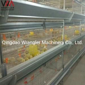 3 Tiers H Type Steel Structure Large Scale Poultry Shed Broiler Chicken Cage