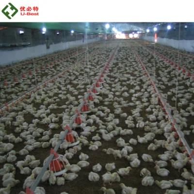 High Quality Modern Automatic Broiler Equipment Poultry Shed Design Chicken Farm