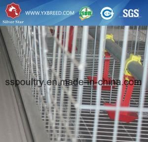 6X3-Tier Layer Manual Cages Electro Galvanized/Hot Dipped/PVC Coated Chicken Cages/Egg Laying Hen/Battery Cage for South Africa