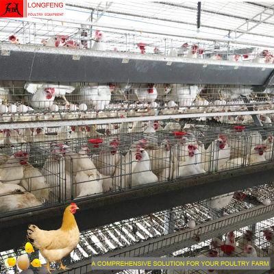 Longfeng Most Advanced Technology Low Egg Broken Rate 15-20years Hot Galvanized Poultry Farm Equipment with High Quality