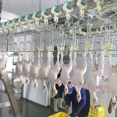 Chicken Birds Abattoir Slaughter Production Machine Equipment for Chicken Slaughtering